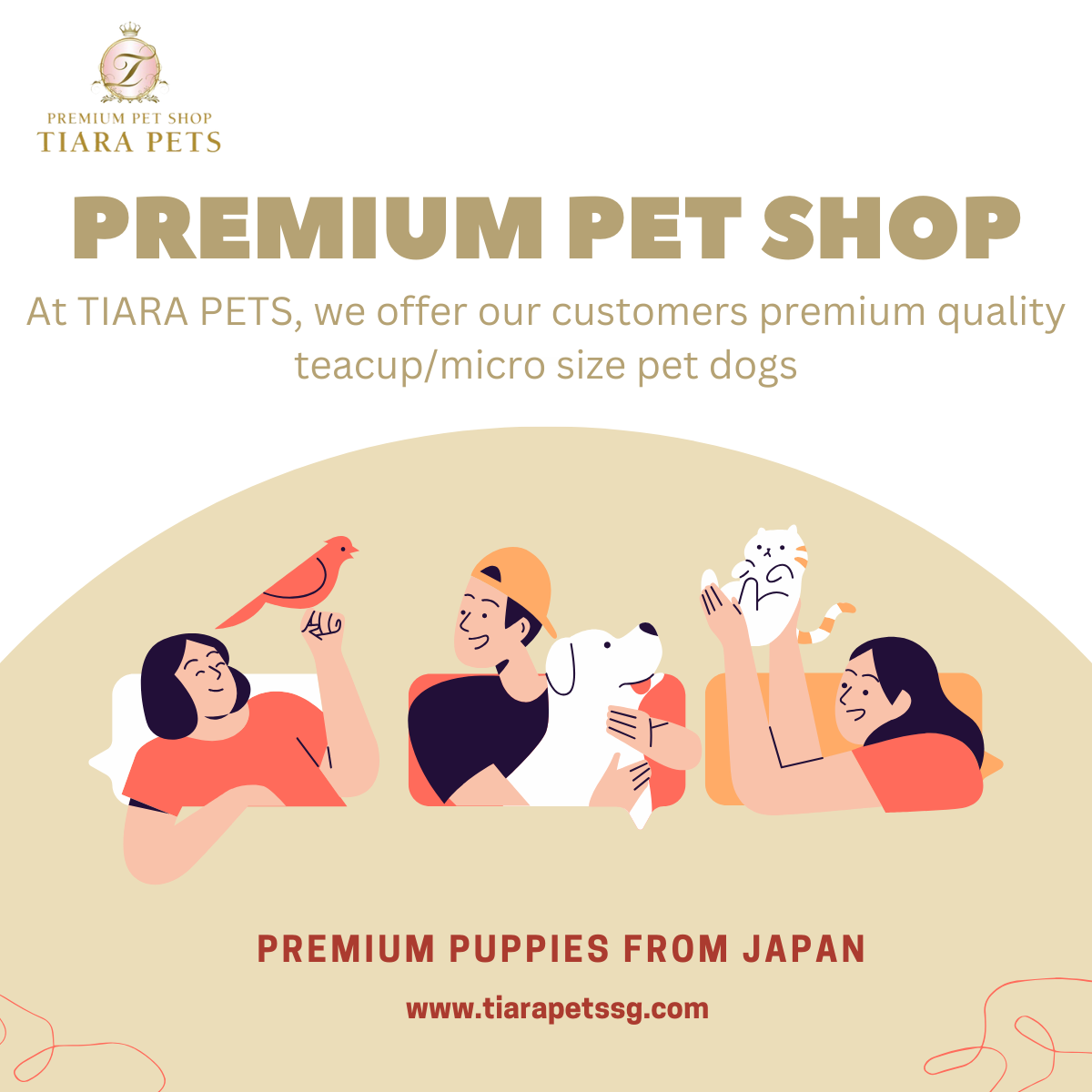 Shiba Inu Puppies for Sale in Singapore - Find Your Faithful Companion, Online Event