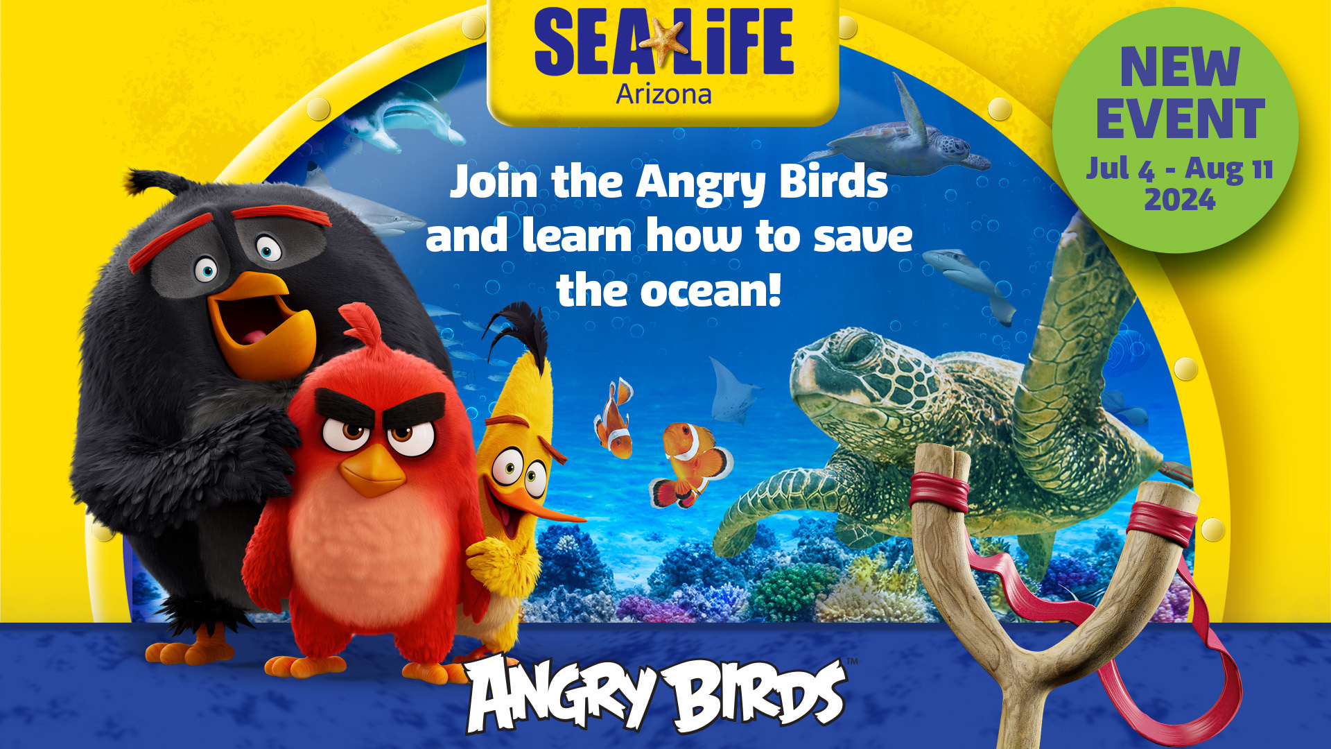 Angry Birds Aquarium Adventure at SEA LIFE Arizona, Tempe, Arizona, United States