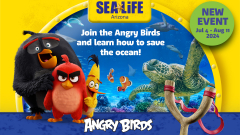 Angry Birds Aquarium Adventure at SEA LIFE Arizona