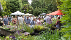 Specialist Plant Fair, Sunday 1st September 2024, Abbotsbury Subtropical Gardens DT3 4LA