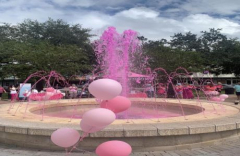 Pink Party in the Park