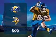 LA Rams VS. Minnesota Vikings Free Tickets