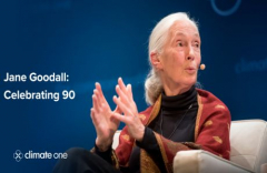 Jane Goodall: Celebrating 90