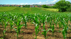 Training on Monitoring and Evaluation for Agriculture and Rural Development