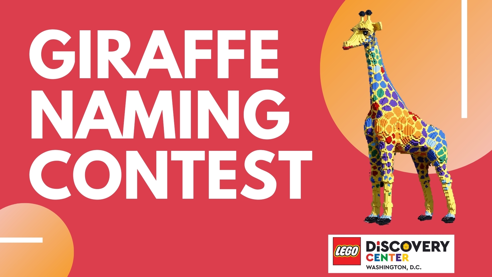 Giraffe Naming Contest at LEGO Discovery Center Washington, D.C., Online Event