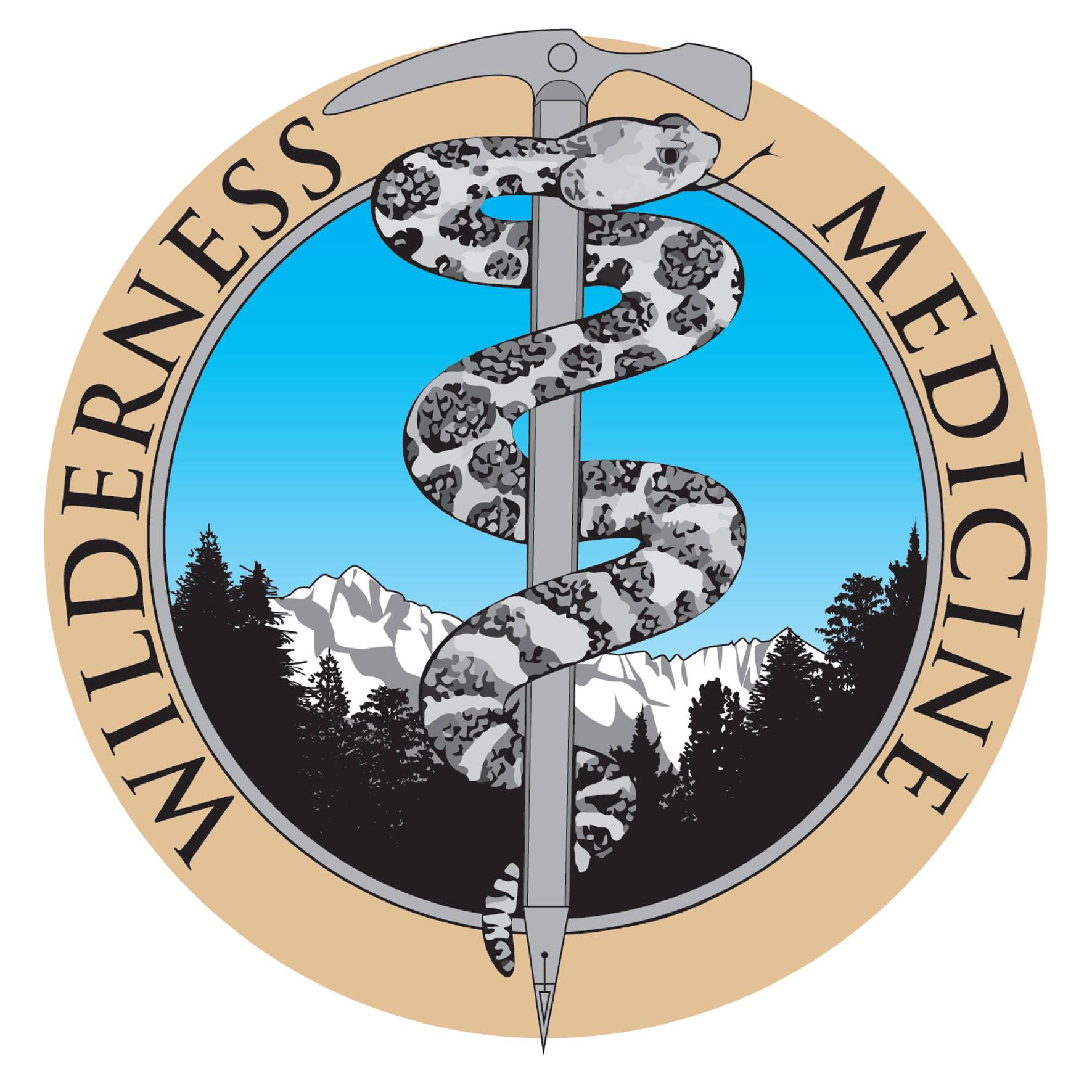 The National Conference on Wilderness Medicine Big Sky, MT February 22-26, 2025, Big Sky, Montana, United States