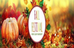 New Leaf Nursery Annual Fall Festival