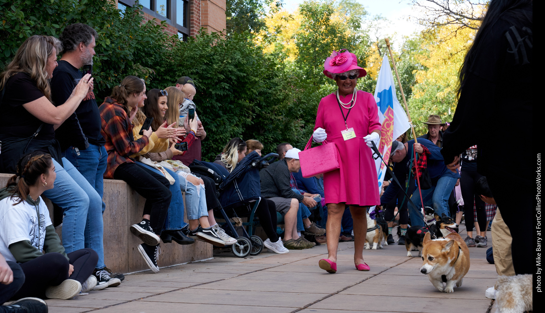2024 10th Annual Tour de Corgi - CORGOLYMPICS, Fort Collins, Colorado, United States