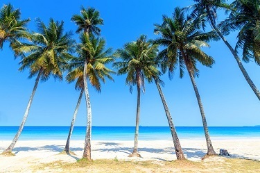 Infectious Diseases Practice Updates 2025, Waimea, Hawaii, United States