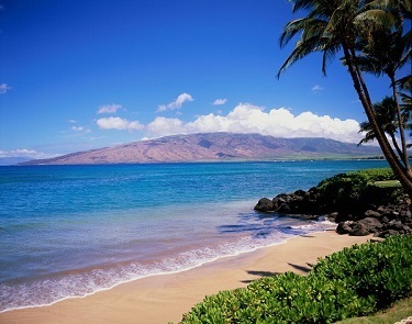 Hematology and Medical Oncology Practice Updates and Board Review 2025, Kapalua, Hawaii, United States