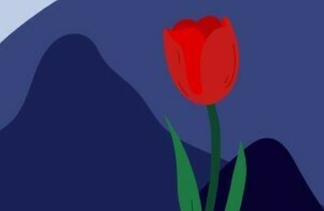 Parkinson's Support Group of Asheville, Asheville, North Carolina, United States