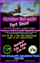 Bat Walk - Part 2