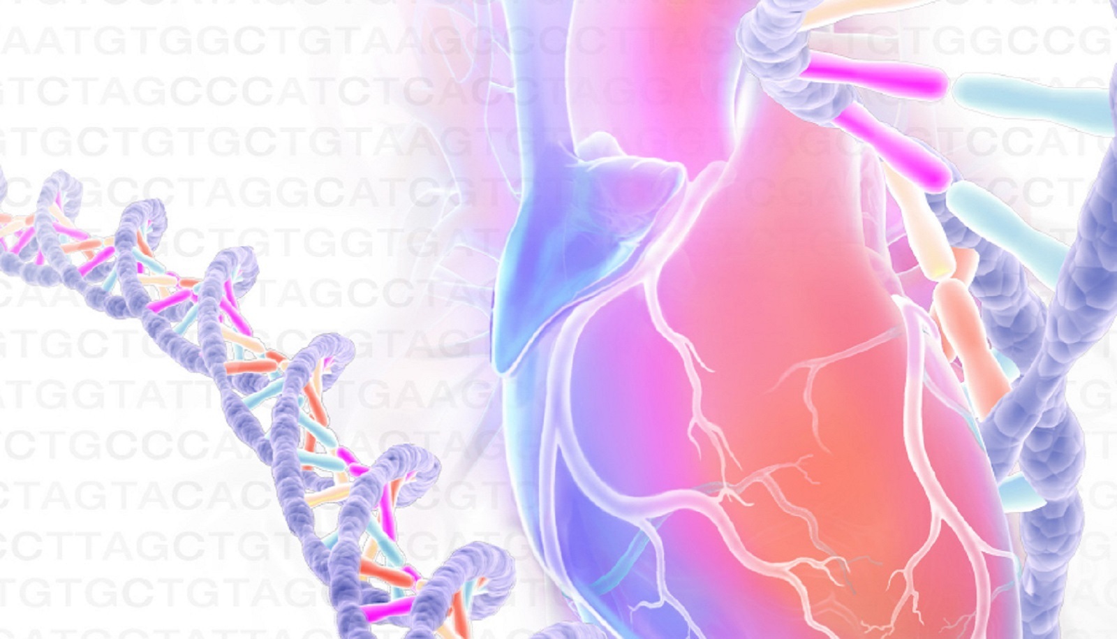 The Genetics of Heart and Vascular Disease, Rio Grande, Puerto Rico