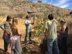 Creating Local Resilience with Regenerative Design: Solar Powered Homes, Communities and Gardens
