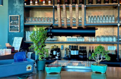 Bonsai and Brews at Grand Central Brewing in St Pete