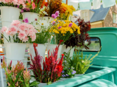 “It Ends With Us” Flower Truck Pop Up