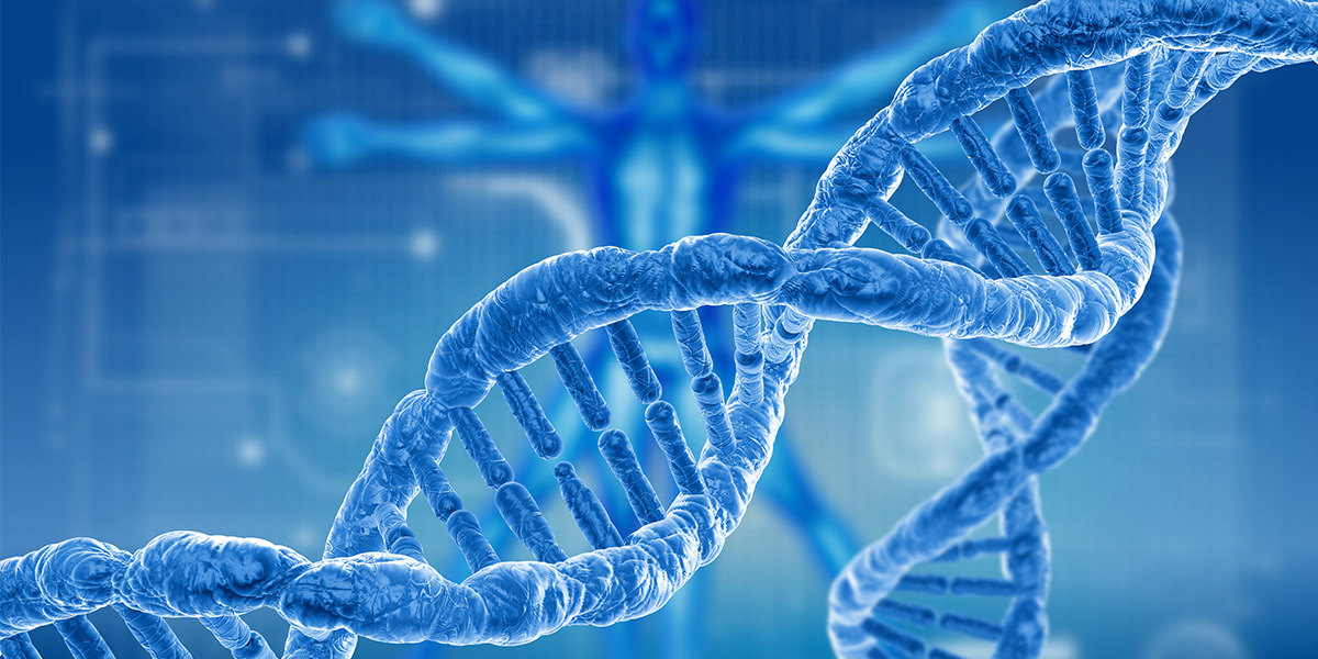 3rd European Congress on Human Genetics, Vienna, Austria