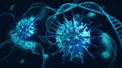International Meeting on Immunology