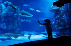 SEA LIFE New Jersey Homeschool Days