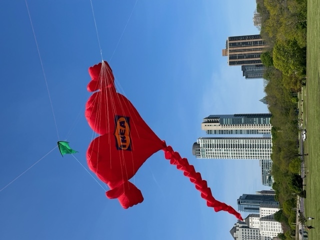Frank Mots Int'l Kite Festival presented by IKEA Milwaukee/Chicago area, Milwaukee, Wisconsin, United States