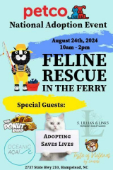National Adoption Event