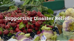 Disaster Relief Sale and Auction