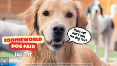 ZoomieWorld Dog Fair: Paws, Play, and Prizes - September 21, 2024 in Salem, OR
