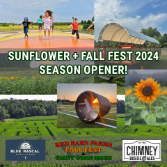 Red Barn Farm Sunflower + Fall Fest Opening Weekend