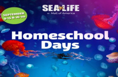 Homeschool Days at SEA LIFE at Mall of America!