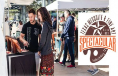 Texas Mesquite And Fine Art Spectacular