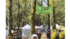 Kings Mountain Art Fair
