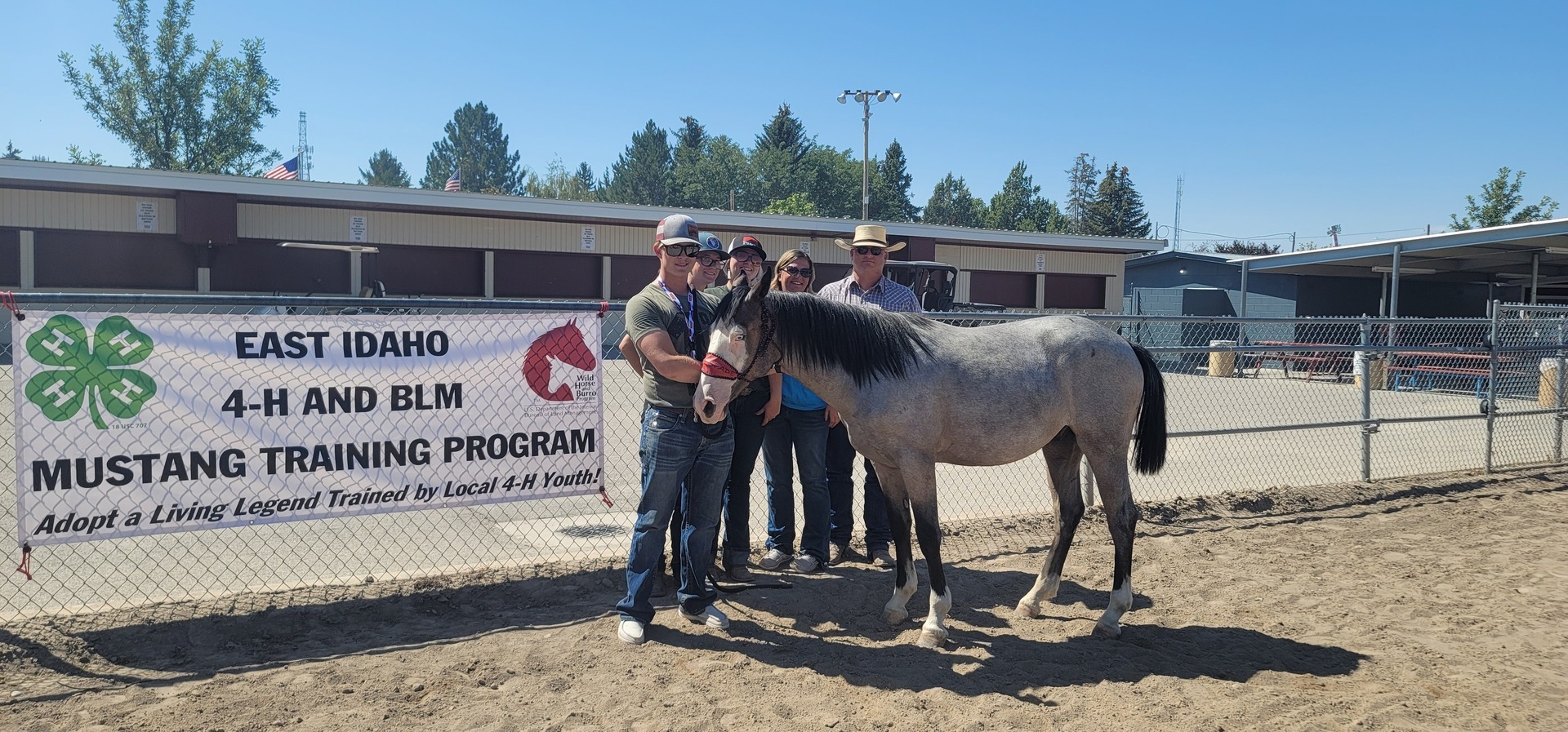 4-H Trained BLM Mustang Adoption, Blackfoot, Idaho, United States