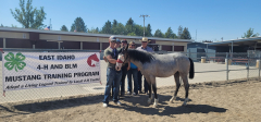 4-H Trained BLM Mustang Adoption