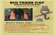 Big Trees Day