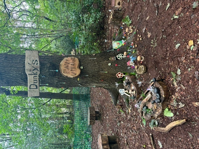 Dunky's Nursery and Forest School Open Day, Warrington, England, United Kingdom