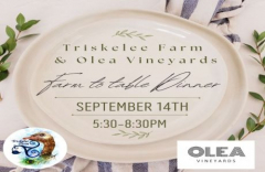 Farm to Table Dinner at Triskelee