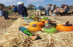 Glass Pumpkin Patch at the Grange!