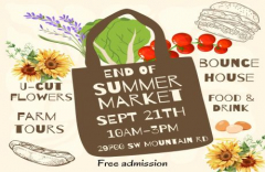 End of Summer Market at Triskelee Farm