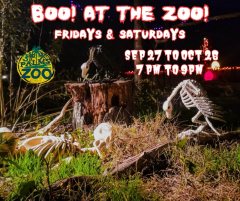 Boo! at the Zoo!
