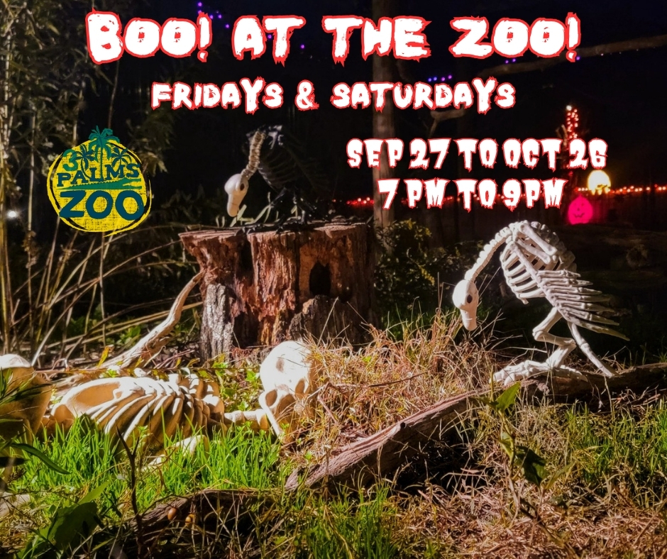 Boo! at the Zoo!, Townsend, Delaware, United States