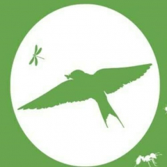 Migratory Bird Day @ Brandywine Zoo