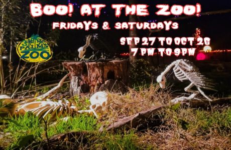 Boo! at the Zoo!, Townsend, Delaware, United States