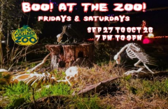 Boo! at the Zoo!