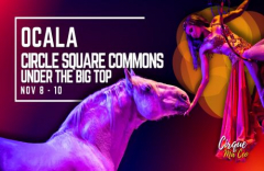 Cirque Ma'Ceo Returns to Ocala!