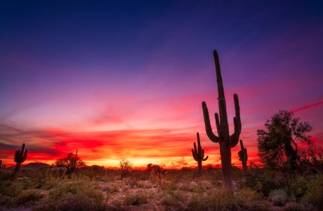 Mayo Clinic - Caring for the Cancer Patient 2024, Scottsdale, Arizona, United States