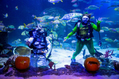 Tricks and Treats - Halloween Event at Michigan's Largest Aquarium - SEA LIFE