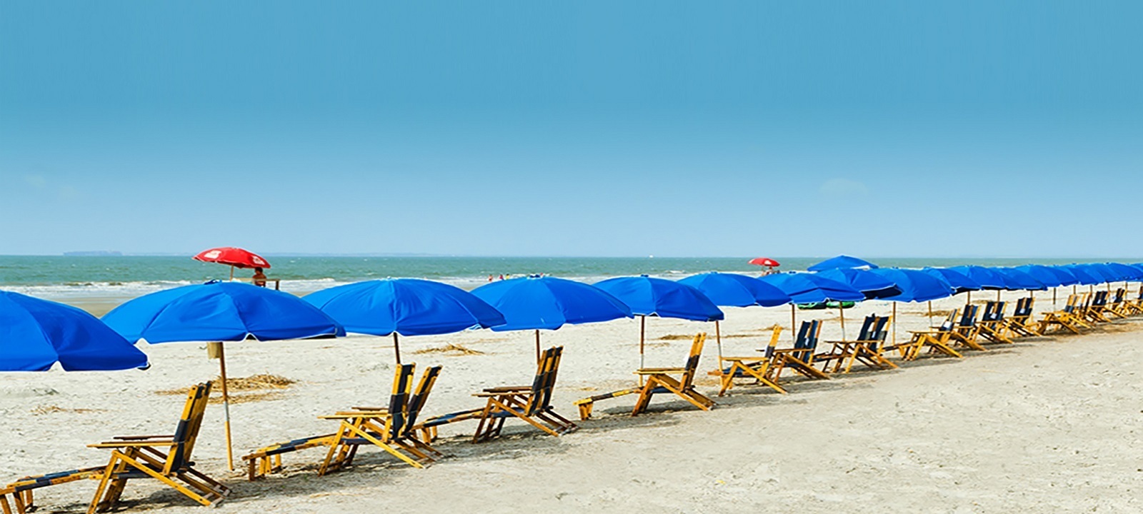 Basic to Advanced Echocardiography: Island Ultrasound, Hilton Head Island, South Carolina, United States