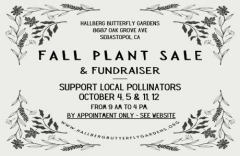 Hallberg Butterfly Gardens CA Native PLANT SALE! Oct 4th, 5th, 11th, 12th