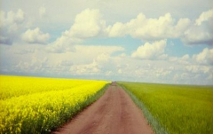 DATELINE UKRAINE: The Road Ahead