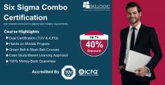Six Sigma Course In Pune